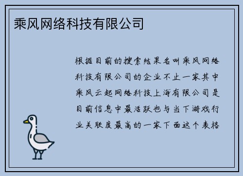 乘风网络科技有限公司